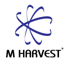 M Harvest