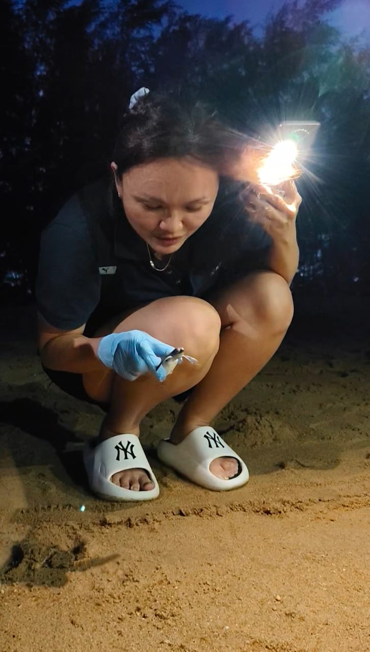 WhatsApp Image 2025-09-05 at 07.33.24_4acd4a2c