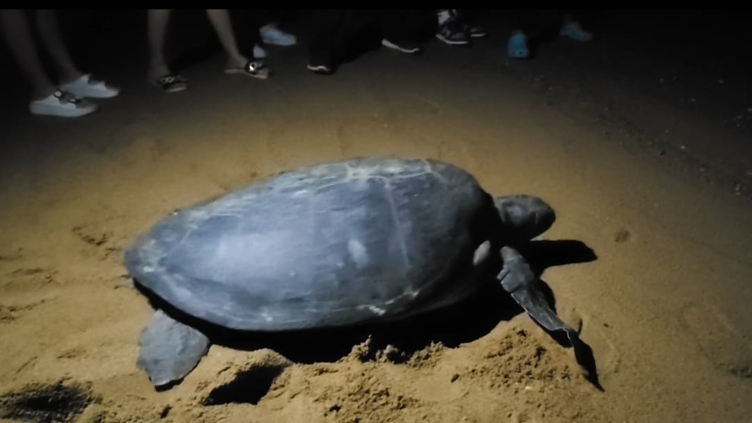 WhatsApp Image 2025-09-05 at 07.43.51_d0b26280